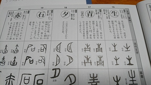 漢字による才能開発?三歳からの漢字教育 (1970年) : プール - その他